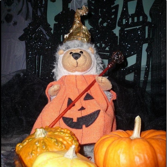 Meet your Posher, Dot! THIS LISTING NOT FOR SALE! - Picture 11 of 12